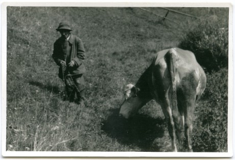 Roun Josef na pastvě