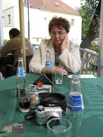 Trápily nás vosy, hrůza!